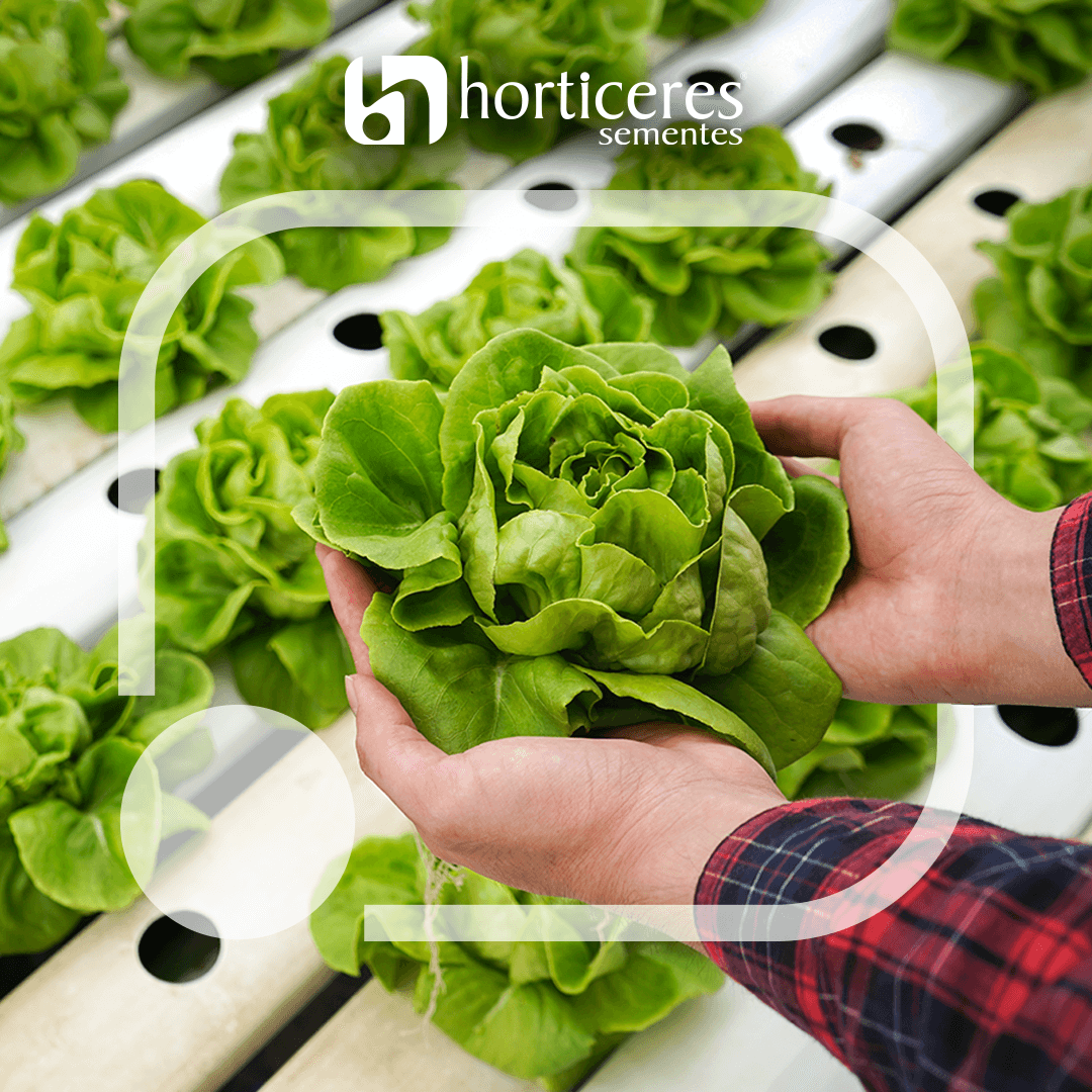 Agronegócio na Mobme com a Horticeres Sementes